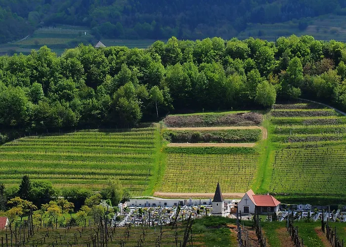 Hotel Garni Weinberghof & Weingut Lagler 4*