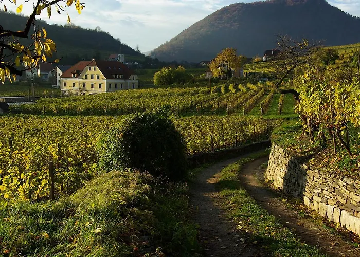 Garni Weinberghof & Weingut Lagler Hotel 4*